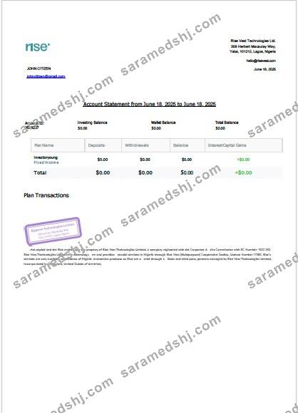 Nigeria Rise Vest account statement Word and PDF template